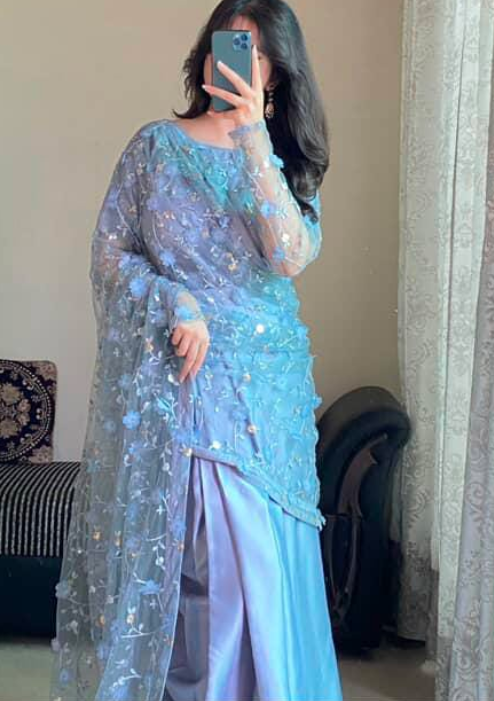 ZIRWAH ELEGANT SAREE