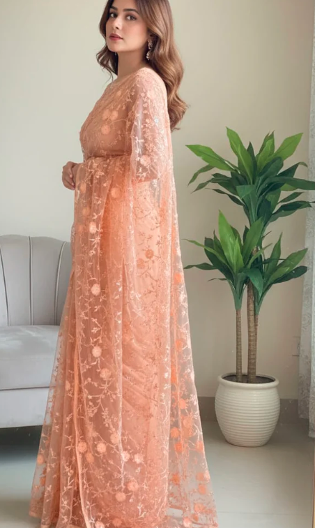 ZIRWAH ELEGANT SAREE