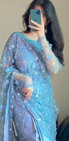ZIRWAH ELEGANT SAREE